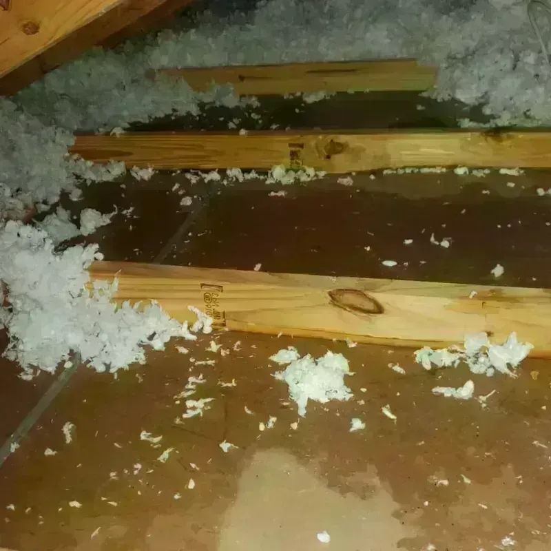 Attic Water Damage in Williamstown, WV